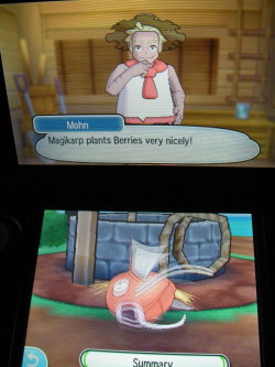 hexmaniacmareen:  scribghetti-junction: Magikarp’s