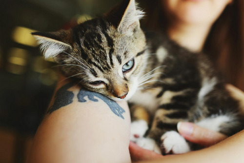 bitrates: Rocky by Simply Stardust on Flickr.