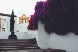 travelingcolors:  Córdoba | Spain (by Nacho