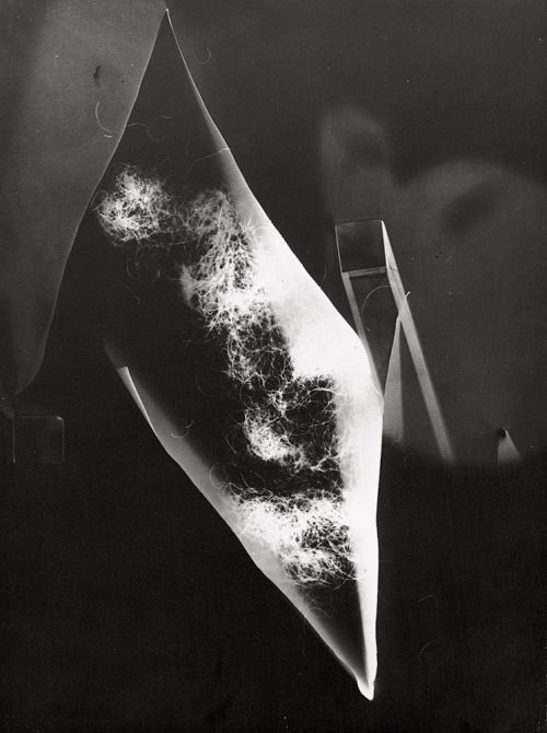 Porn regardintemporel:Man Ray - Rayograph photos