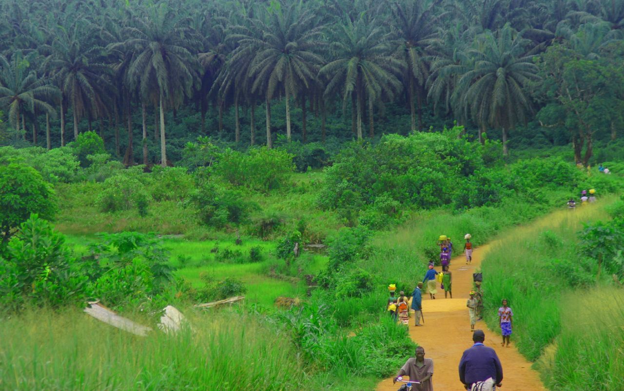 bacteriia:  Transport in Sierra Leone