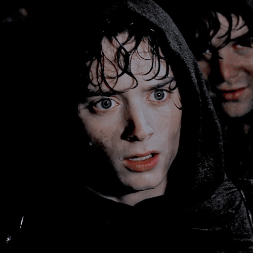 Frodo Is A Hero, bye.