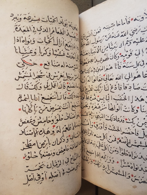LJS 495 -[Kharīdat al-ʻajāʼib wa farīḍat al-gharāʼib]This beautiful manuscript is a cosmography