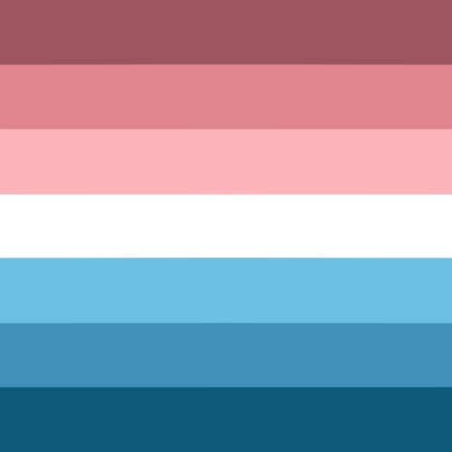 aroaesflags: Trans and nonbinary nebularomantic combos