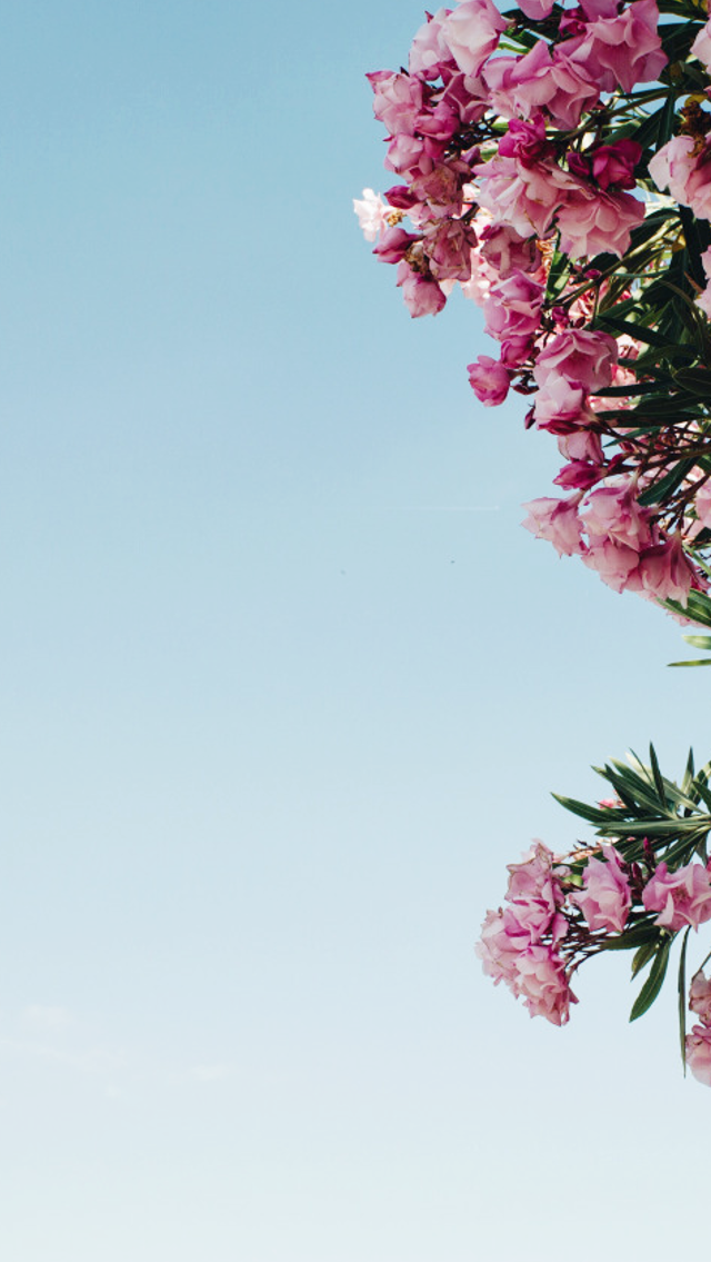 only-pack-for-twitter:  click pics for hq + full sizelike/reblog if savingily xx