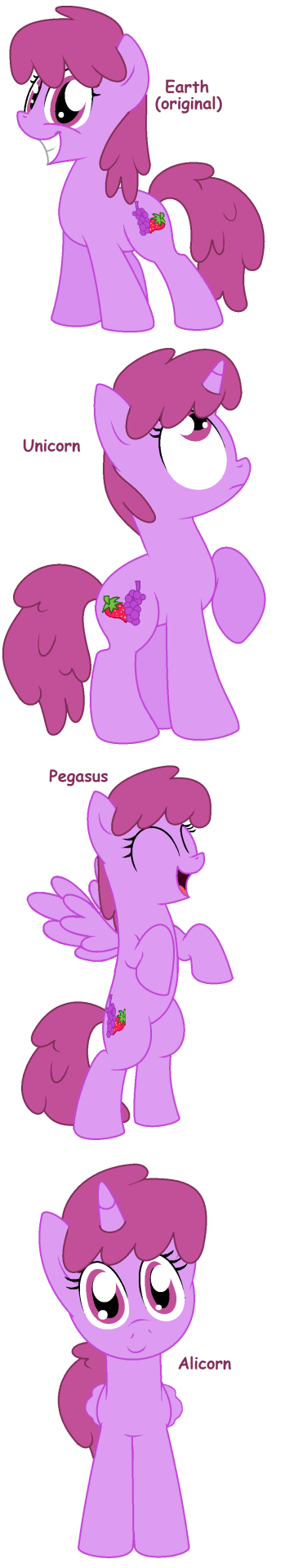 dragonbait-ep:  Berry Punch - All Pony Races by Pupster0071  x3