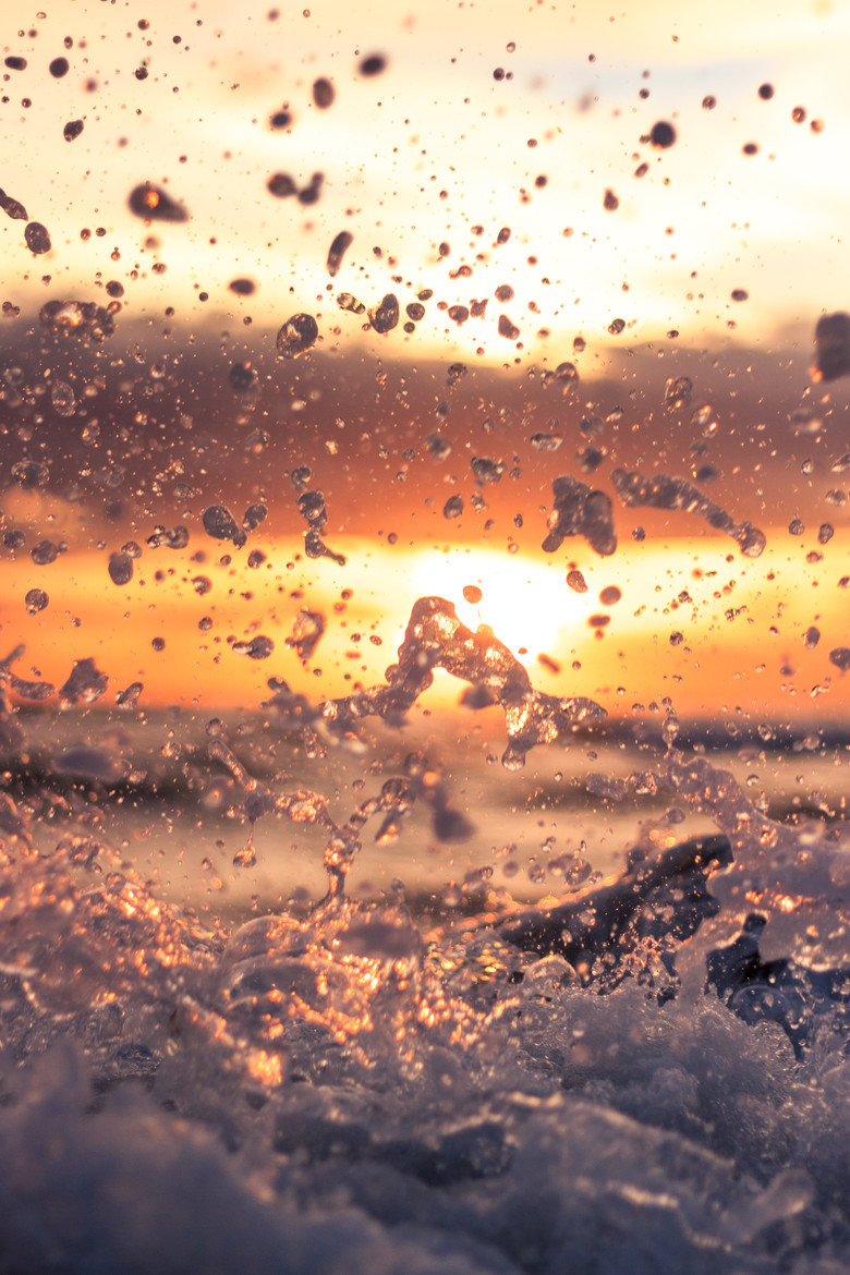 lion-black:  Sun.Summer.Sea.Drops.