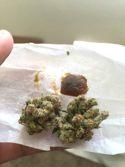 nonameeverpleasenoname:  Some nugs from the pick up and a ½ gram of shatter!