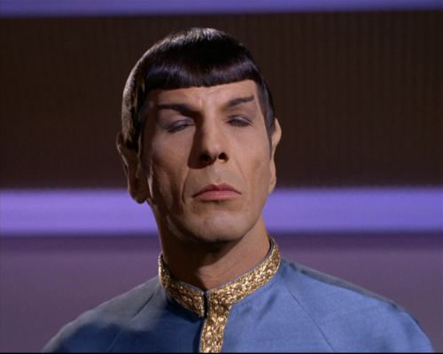 captaincrusher: Spock’s mom getting drunk and telling Bones embarrassing details about Spock&r