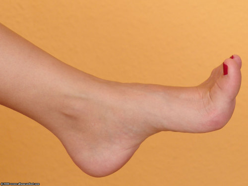 mrsolemanluvfeet: i-alfredf: Alexsa, shows off her  gorgeous feet Alexsa  ❤️❤️❤️