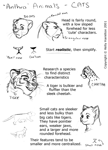 shadow-the-kitsune-coffeeshop:  How to draw anthro heads By Kelly | June 4, 2007