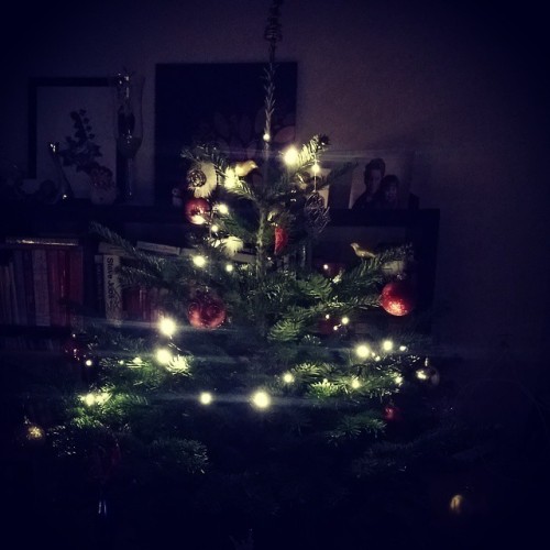 My little chubby christmas tree #christmas #christmaslights #jul #christmastree #danmark #denmark #d