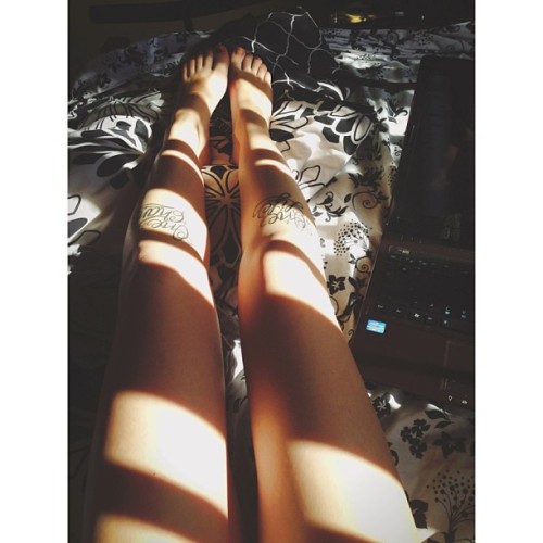 imaginaryenemy-:  Sun shining through my blinds directly onto my bed is making it ridiculously difficult to get up and be productive. ☀ 