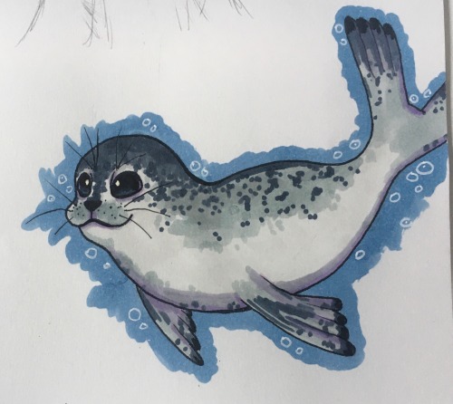 Was Drawing A Selkie But Then Decided To Doodle Her Seal Form.