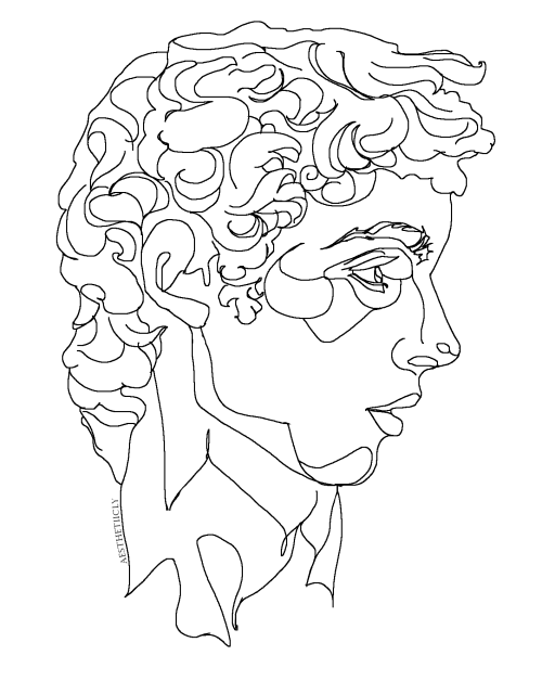 sweetimothee:Line drawing of Timothée Chalamet as Michelangelo’s David StatueInspired by @thismustbe
