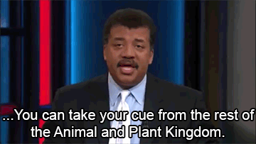 blunt-science:NDT on How Nature has Responded to Climate Change.