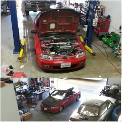 Privaterunner:  Top: My Old Shop Sma Bottom: New Shop Autofashion #Privaterunners