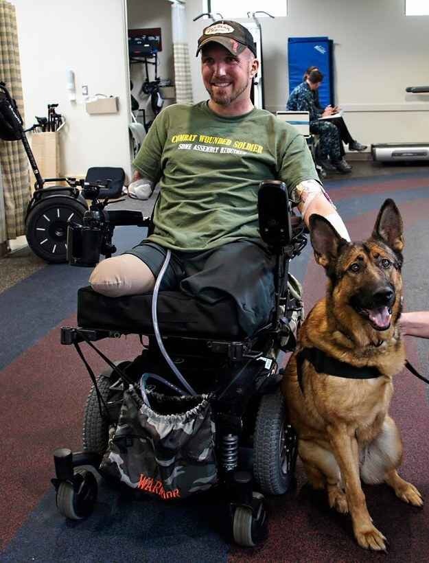 corgis-everywhere:  In honor of Veteran’s Day, meet Lucca,  an amputee veteran