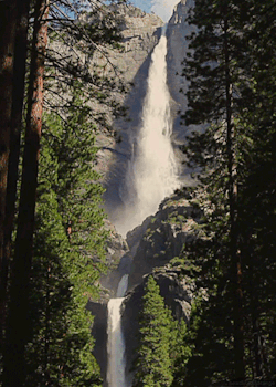 headlikeanorange:  Yosemite Falls, California