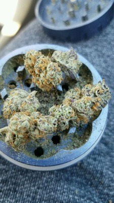 daymansmoketh:  Girl Scout Cookies give me