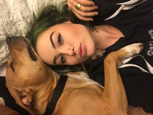 kittennutz:  The vicious pitbull