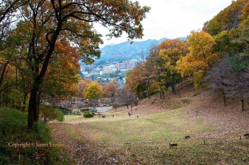 Nanasawa Shinrin Park, Atsugi, Kanagawa Japan. #japan #park #atsugi #mountains #kanagawa #七沢森林公園 #厚木