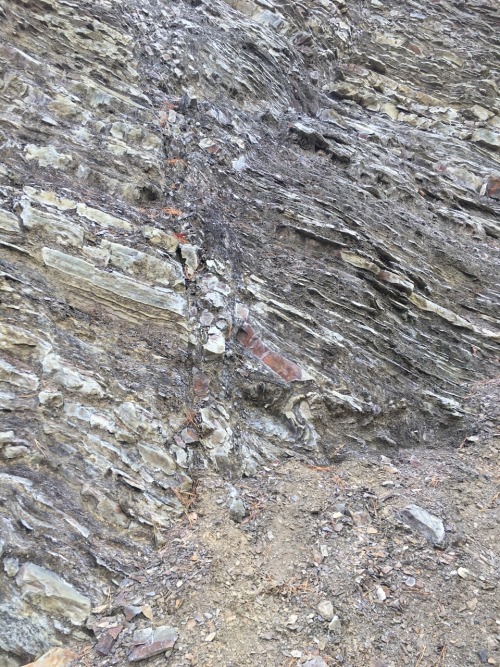 the-tales-of-a-geology-student:Here are some pictures from a recent geology field trip. There’s a bi