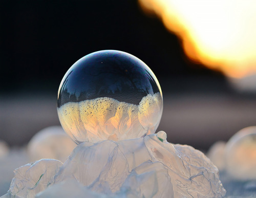 actegratuit:  Frozen Bubbles! Washington-based photographer Angela Kelly captured these breathtaking images of soap bubbles freezing at 15,8°F (-9°C) for her “Life in a bubble” series. 