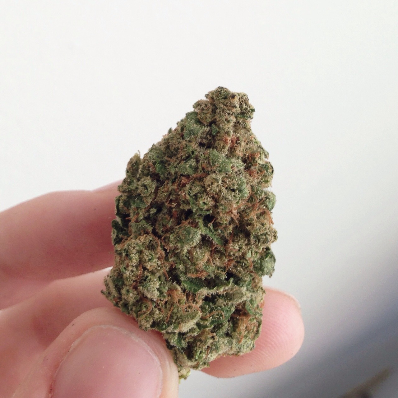eluciidate:  two kinds of buds I have right now 