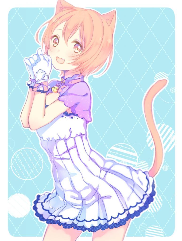 cutegirlsmoe:  #31,986: the cat in white from Love Live! - more info at http://id.hell.moe/31986