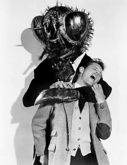 cryptofwrestling:  Publicity still from The Fly (1958) 