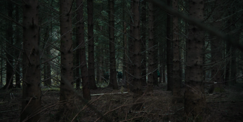 carlos-gmen: The Ritual (David Bruckner, 2017)