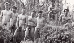 Vintagegay