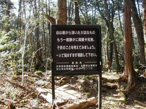 atlasobscura:Aokigahara Suicide Forest - Koshu, JapanCalled “the perfect place to die,” the Aokigaha