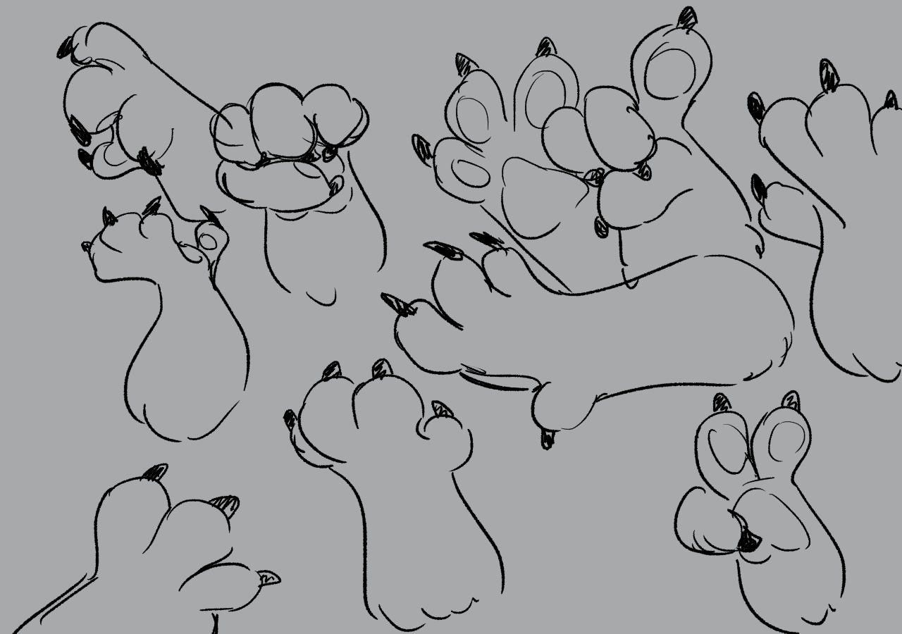 så meget Madison Yoghurt take it, sleazy - — skanxiously: Doodles of paw anatomy practice