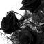gothic-goddesss