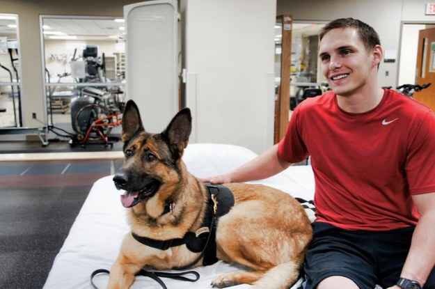 corgis-everywhere:  In honor of Veteran’s Day, meet Lucca,  an amputee veteran
