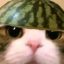 insideyouramygdale