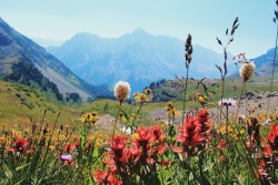 ahikersdream:  Around Snowmass, CO.