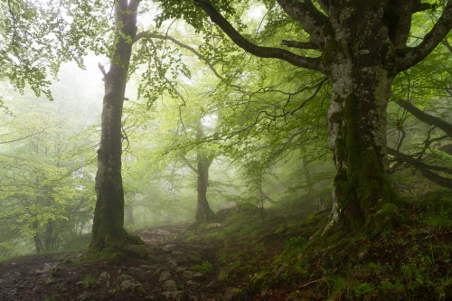 Parque Natural Collados del Asón by José Miguel Serna