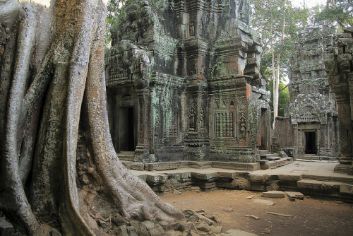 fredcanongephotography:  Dream of Angkor on Flickr.