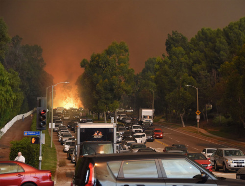 theonion:Frustrated Wildfire Spends Hours Stuck In L.A. Traffic