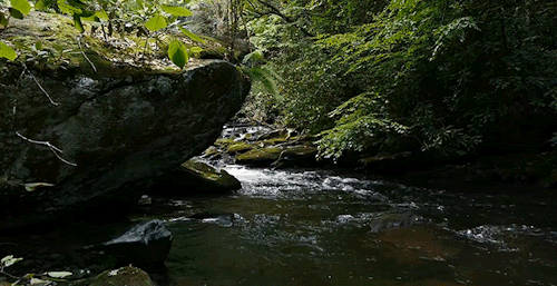 panajan:  Bald River Gorge 