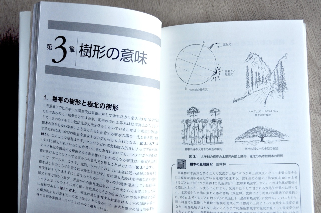 Ppr 空想地学研究所 所長おすすめ植物本3 絵でわかる樹木の知識 著者 掘大才