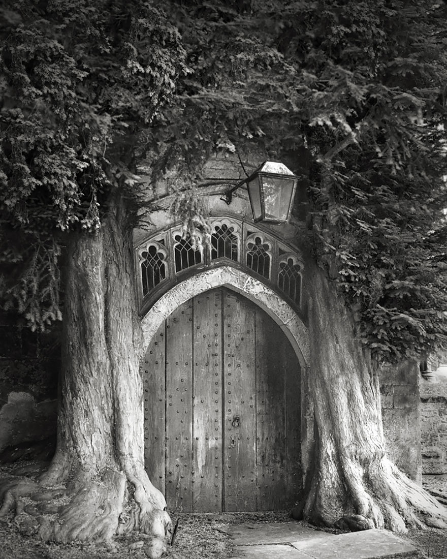 asylum-art-2:  Beth Moon  American  photographer Beth Moon has spent the past 14