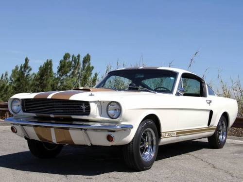 mustanglegendarymachine:      Wimbledon White   Shelby GT350 1966 with optional “Le Mans” stripes in gold.  