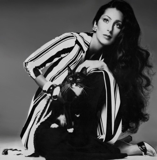 serafino-finasero: Cher with a cat, photographed by Richard Avedon | Vogue US, June 1974