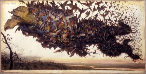Passenger pigeons were once the most abundant birds in the North America, and perhaps even the world