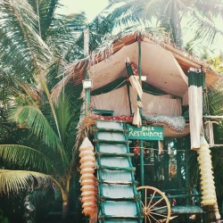 enjoycolorfullife:  gypsealife 