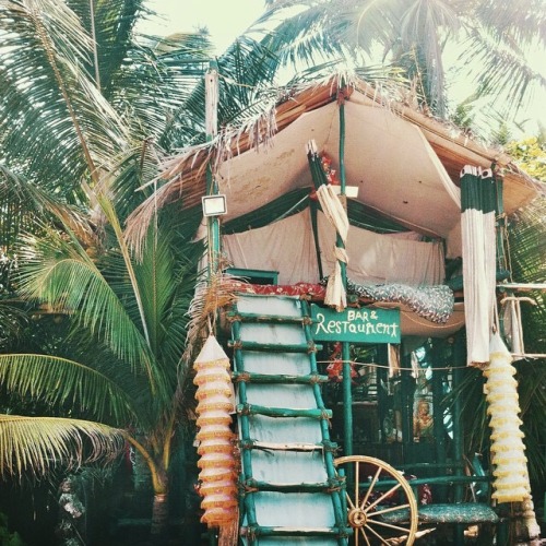 enjoycolorfullife:  gypsealife 
